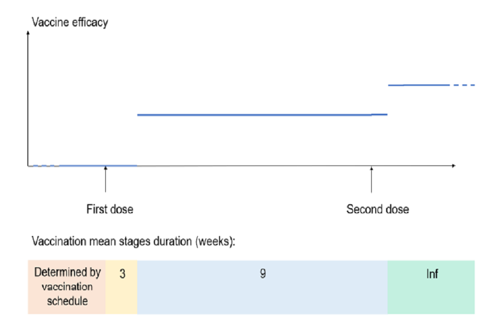 Bottom: coloured time bar showing mean duration of vaccination stages in weeks. Above is a line graph: first and second dose shown on x-axis; y-axis shows vaccine efficacy. Three horizontal lines display varying efficacy dependent on vaccination dose.  