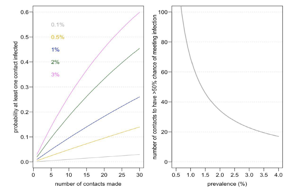 Two line charts showing the probability that at least one contact is infected rises with prevalence and the number of contacts, and that fewer contacts are needed for a 50% chance of meeting at least one infected person at higher prevalence levels.
