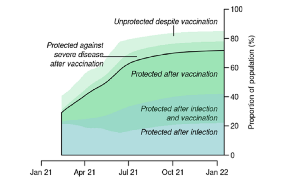 Stacked area chart showing a rising proportion of the population protected against infection, reaching about 70% by late 2021. A small fraction are protected against severe disease but not infection, with over 20% unprotected (some of whom are vaccinated)
