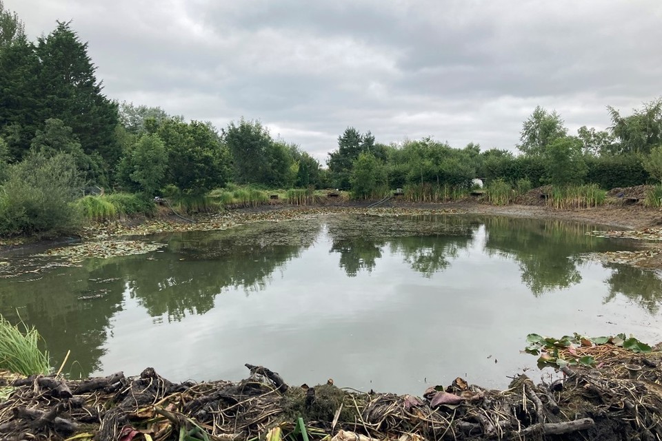 Rod licence income benefits fisheries in Wessex