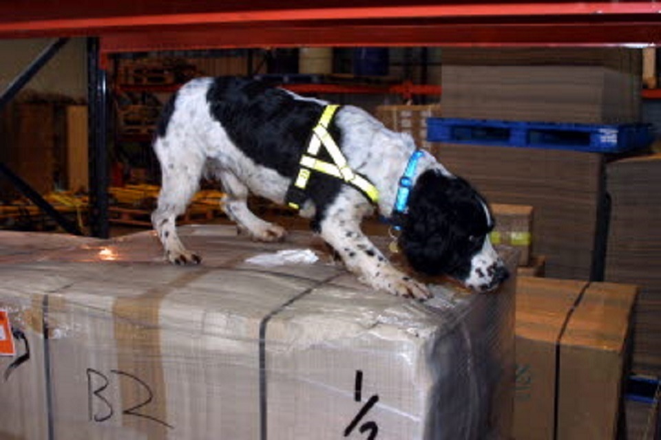 Animal medicine seizure notice: Parcel addressed to premises in County Fermanagh