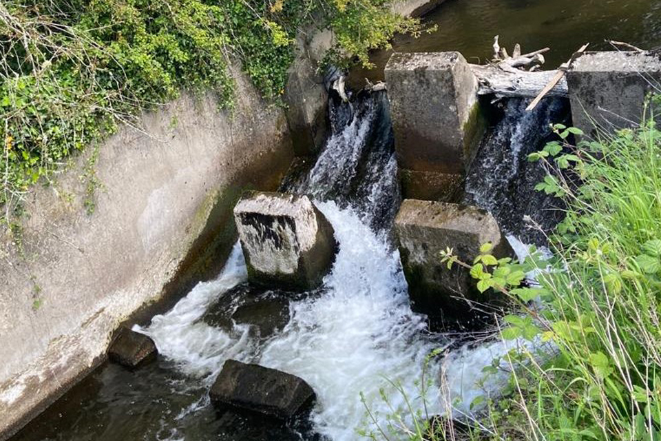 National Highways working to keep fish on the move in Devon