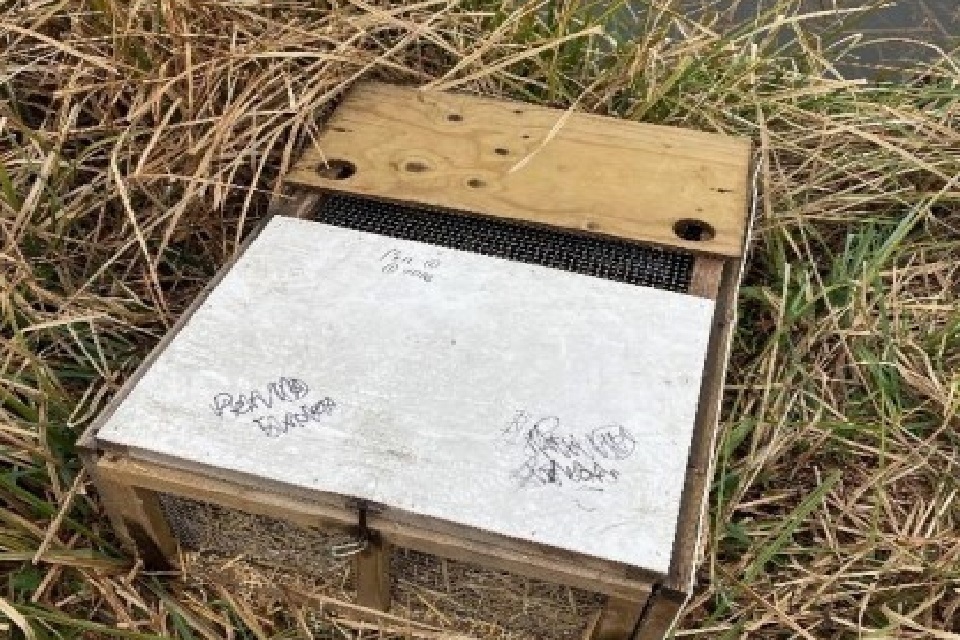 Protecting wildlife during Salisbury River Park construction