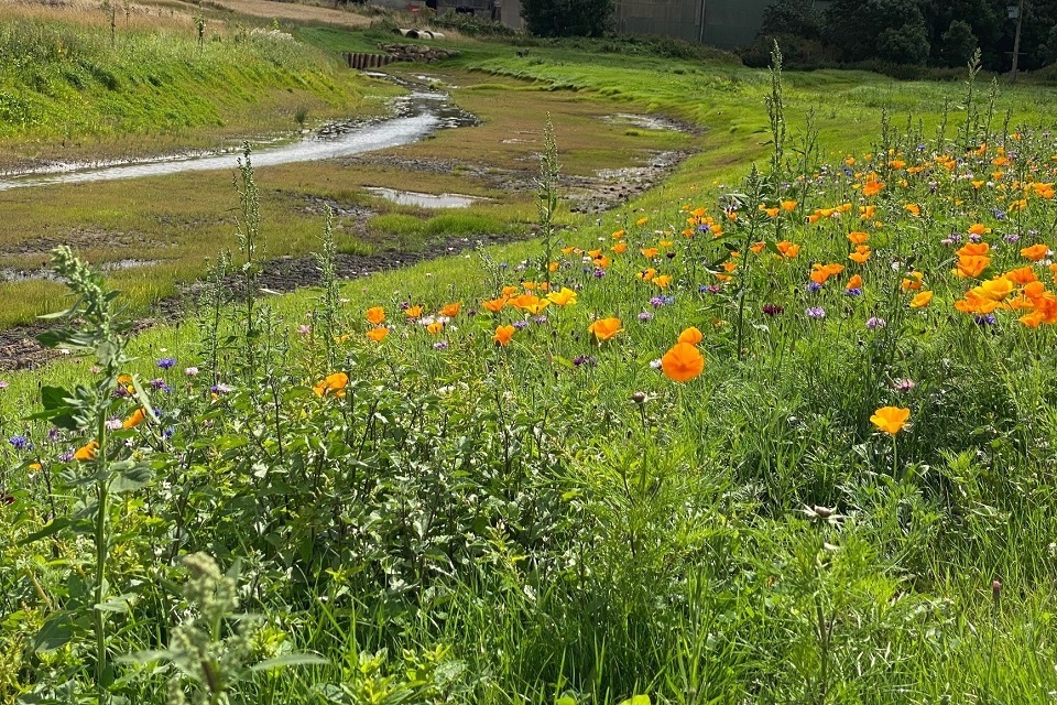 North Yorkshire project brings water quality boost to River Wiske