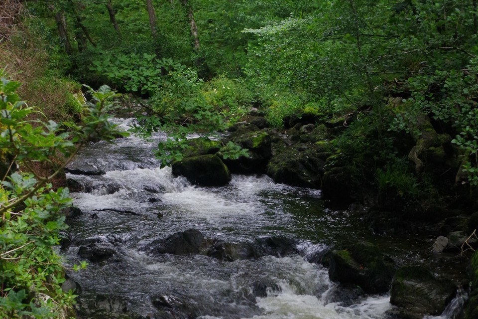 Rod licence income benefits fisheries in Devon and Cornwall