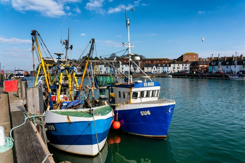 Demersal non quota species Fisheries Management Plan