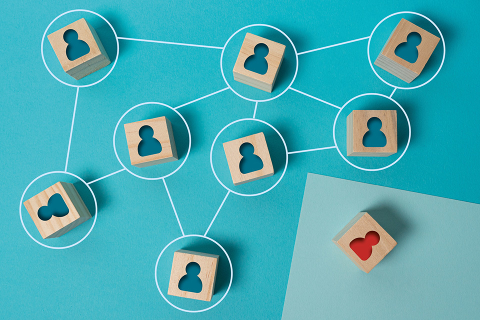 Support for Equalities Impact Assessments