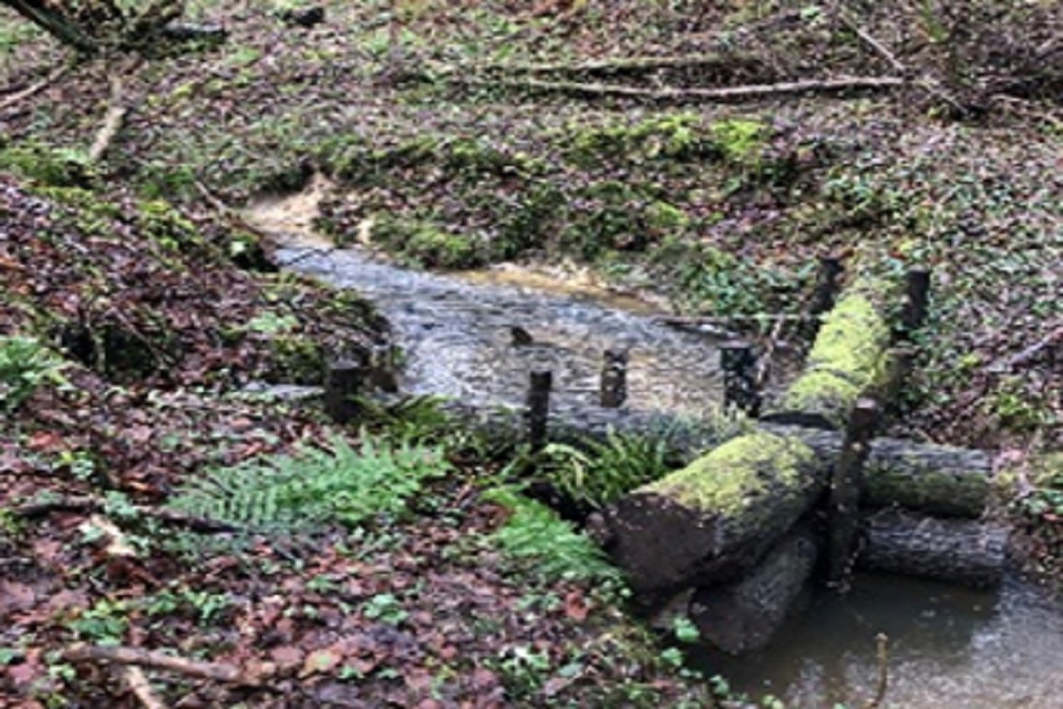 Image shows small stream running through woods, with a dam made of crossed logs