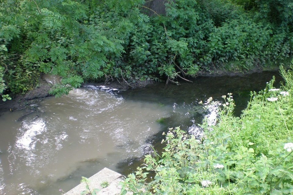 Anglian Water fined £300,000 after pollution killed 5,000 fish - GOV.UK