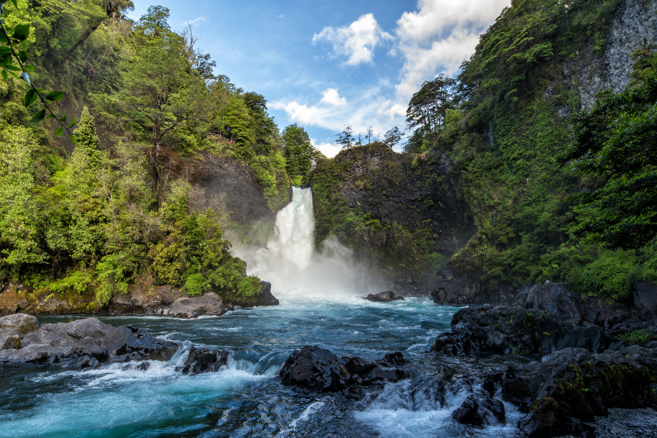 Countries call for action to finance nature recovery ahead of COP15