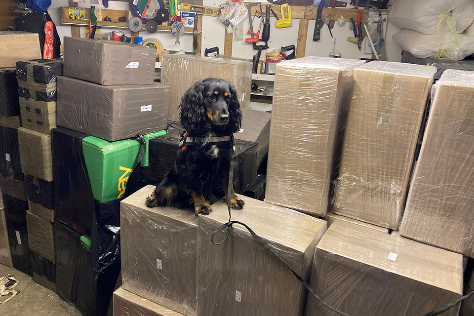 Sniffer dog Mostyn and seized goods in Banbury, Oxfordshire