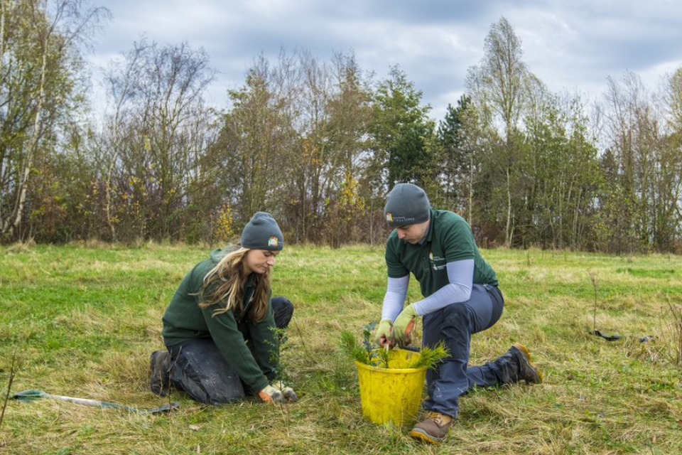 New fund opens to accelerate tree planting