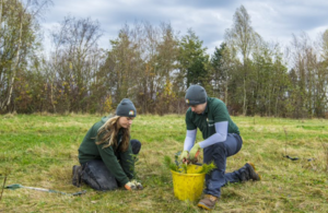 Two people working in a forest