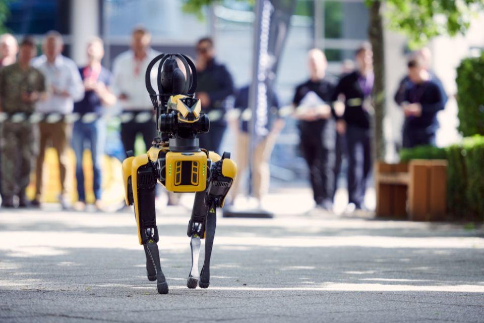 DE&S hosts coders for Robot Dog Olympics
