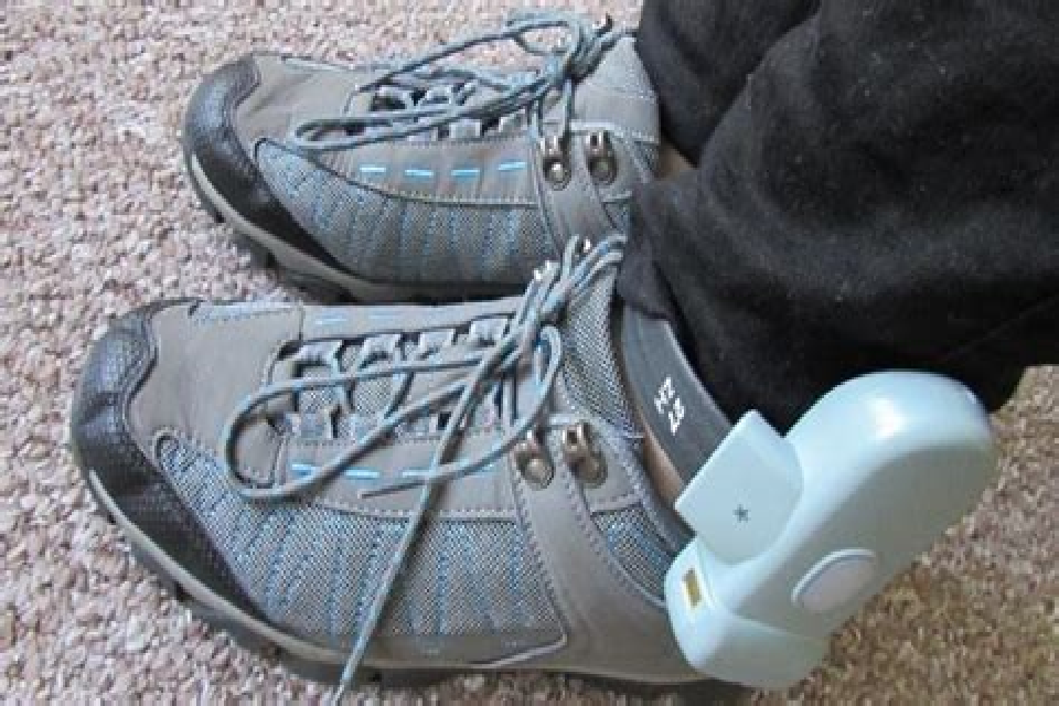 Inspection Report Published: An inspection of the Global Positioning System (GPS) electronic monitoring of Foreign National Offenders, March – April 2022