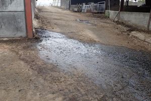 A wet area of ground on in a farm building