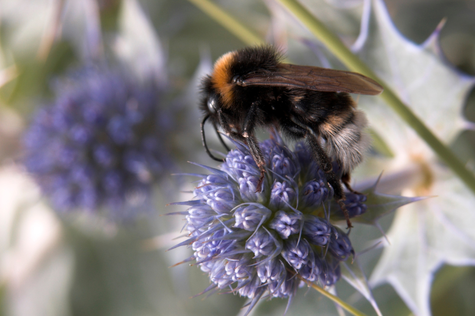 Environment Agency report sets out urgent need to work with nature