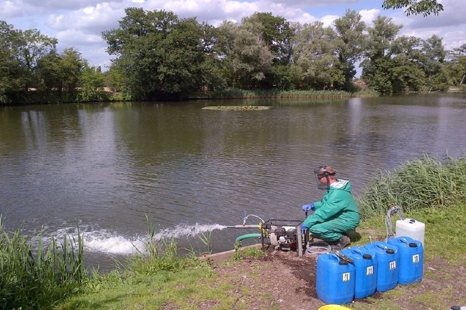 Extreme heat: Environment Agency calls on public to help protect fish