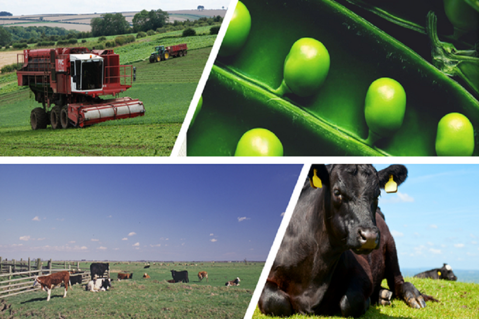 Sustainable farm based protein competition opens