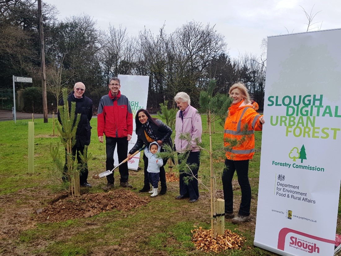 Tree planting in Slough
