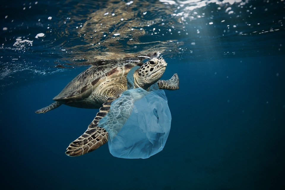 10p bag charge turns the tide on plastic waste