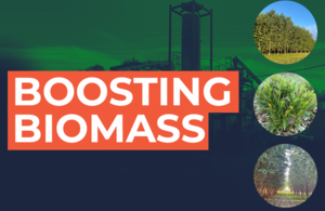 Boosting biomass