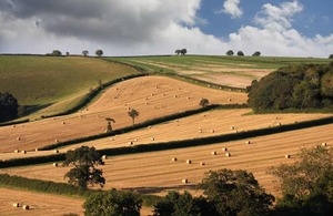 Image of a rural area with fields