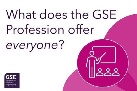 What does the GSE Profession offer everyone?