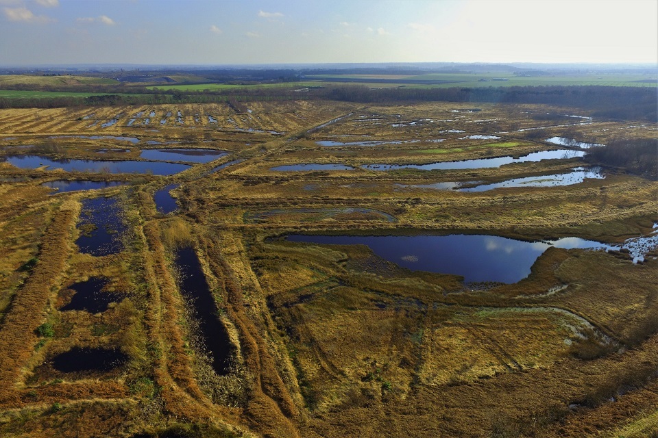 Sale of horticultural peat to be banned in move to protect England’s ...