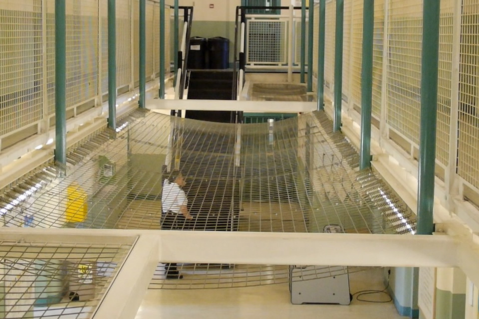 Millions invested to support female offenders