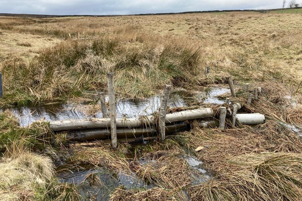 Almost £5million investment brings boost to Yorkshire environment