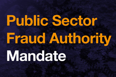 Public Sector Fraud Authority Mandate
