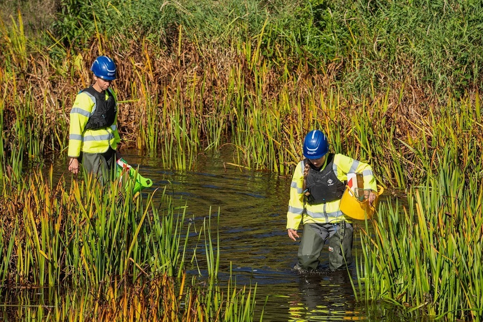 North East ‘Ark’ sites are safe haven for endangered crayfish