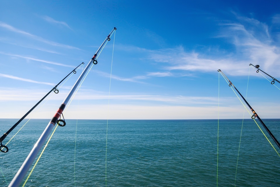 MMO engages recreational fishers on Fisheries Management Plan.