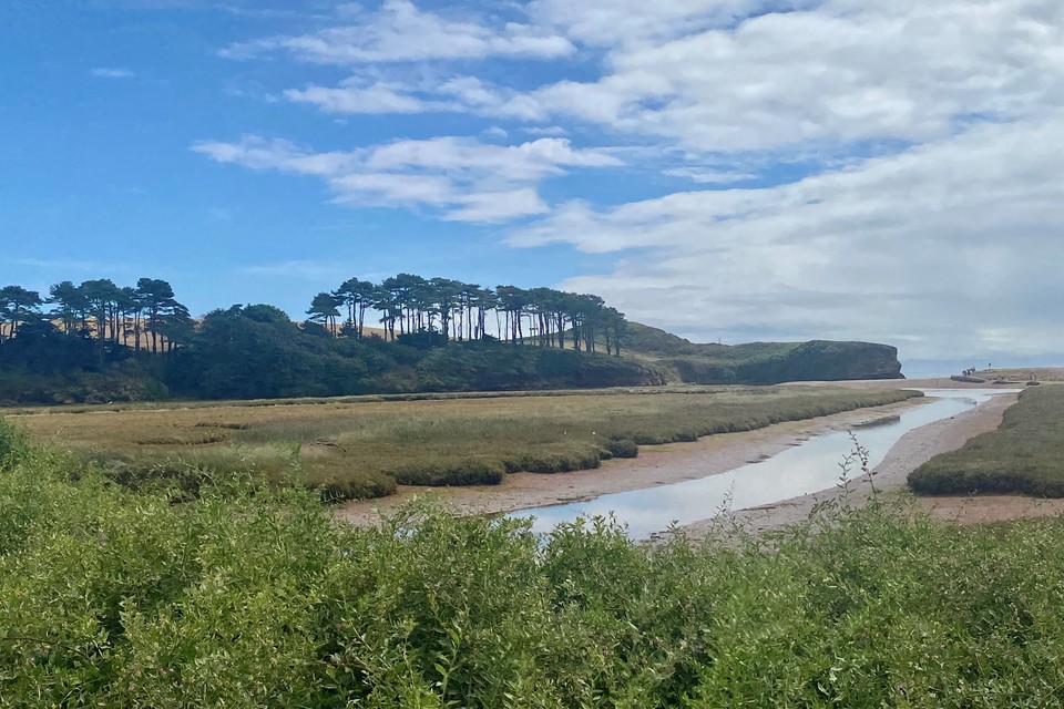 Promoting Adaptation to Changing Coasts project to hold webinars