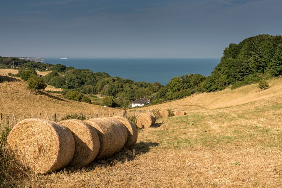 Independent review provides recommendations to improve support for tenant farmers