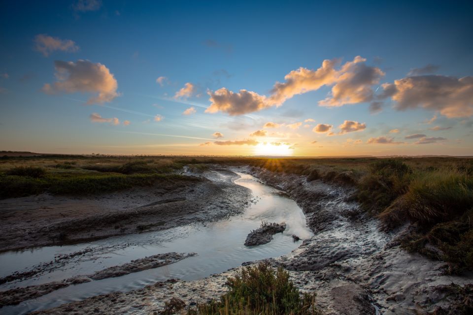 Seagrass and saltmarsh habitat development