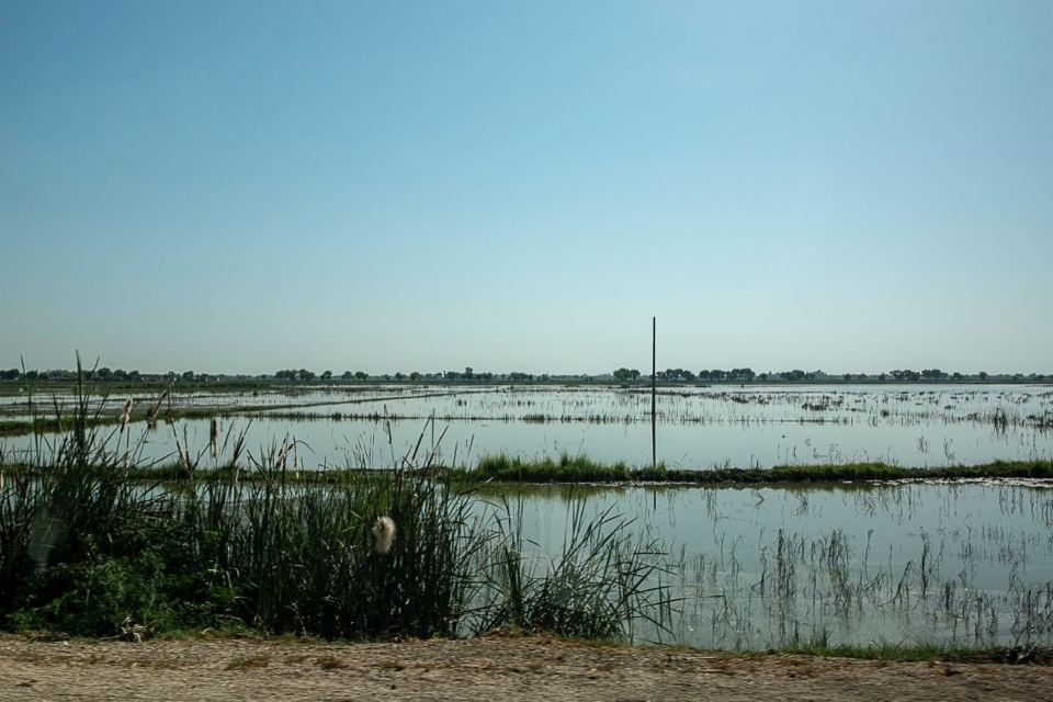 Additional £10 million of UK aid for flood relief efforts in Pakistan
