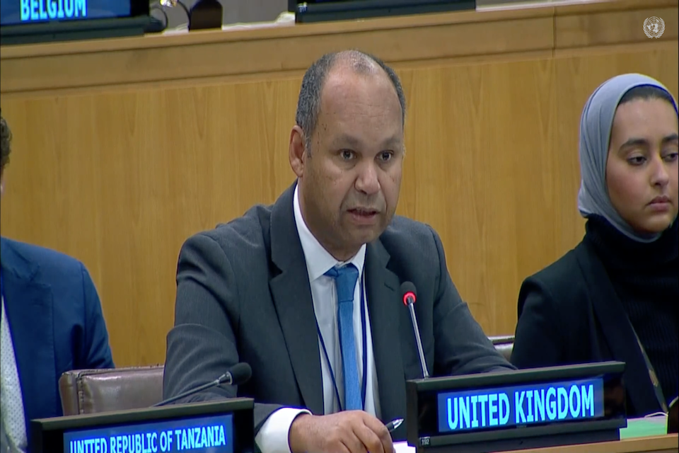 UK Ambassador James Kariuki speaks at the UN 3rd Committee on 19 October