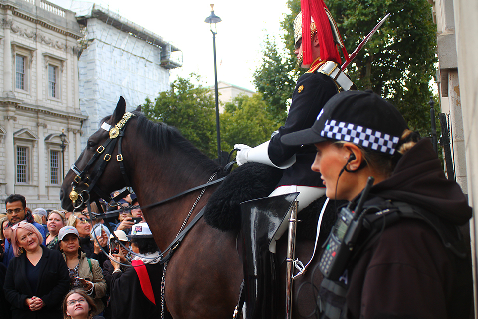 MDP supports Operation London Bridge
