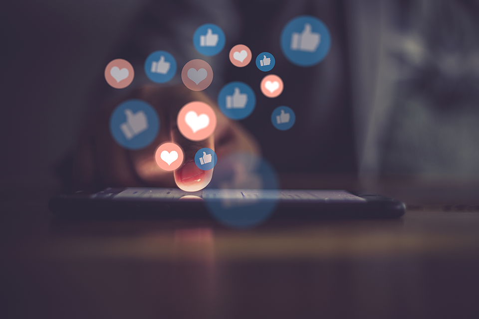 Help for vulnerable people to spot disinformation and boost online safety