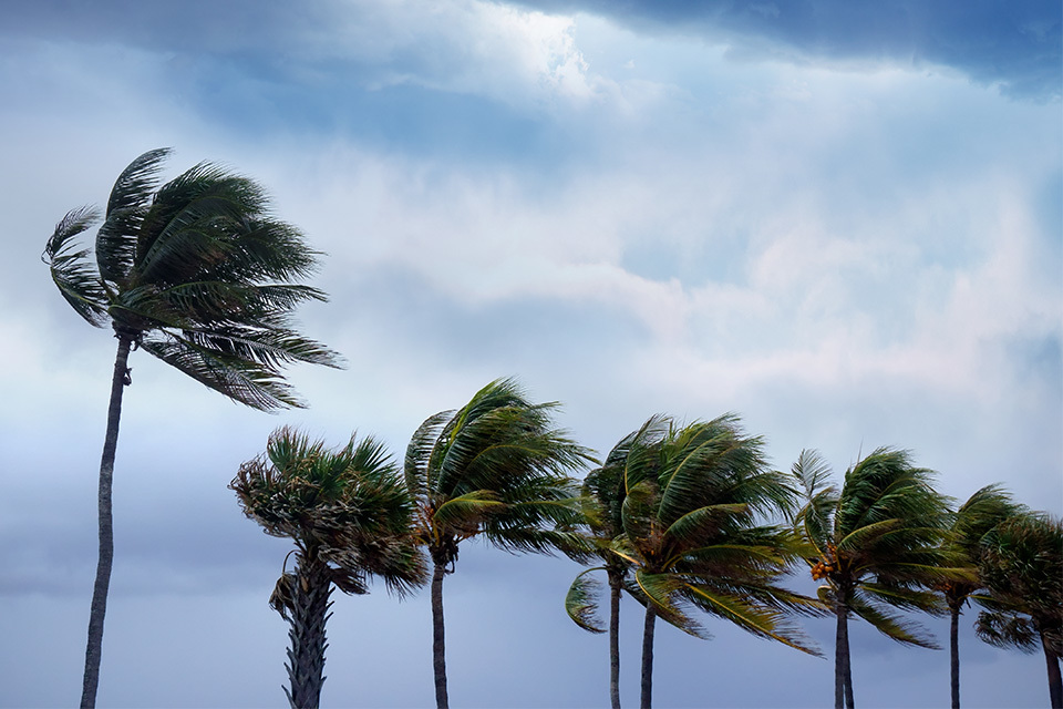 UK Export Finance launches new debt solution to help developing countries with climate shocks