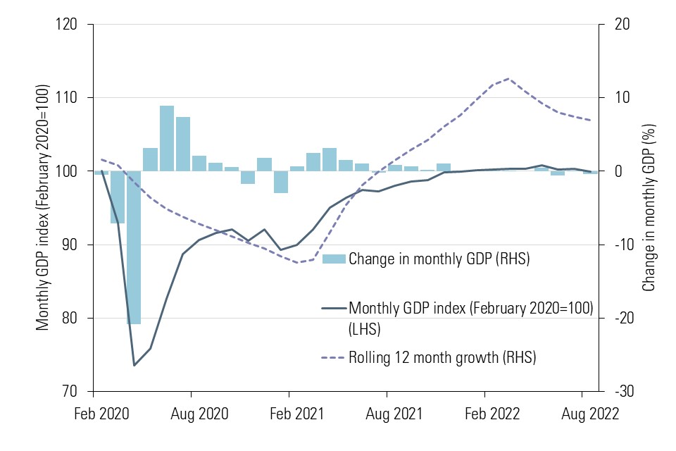 Chart showing February 2020 to August 2022 monthly GDP growth. GDP fell sharply with the pandemic but recovered. Monthly GDP is similar in August 2022 to December 2021. The rolling average is 6.9% in August 2022, fallen from a peak of 12.6% in March 2022.