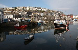 Boats in a harbour with houses behind on a hill