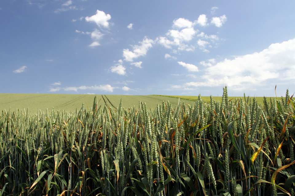 Thousands of rural businesses receive payments from the RPA