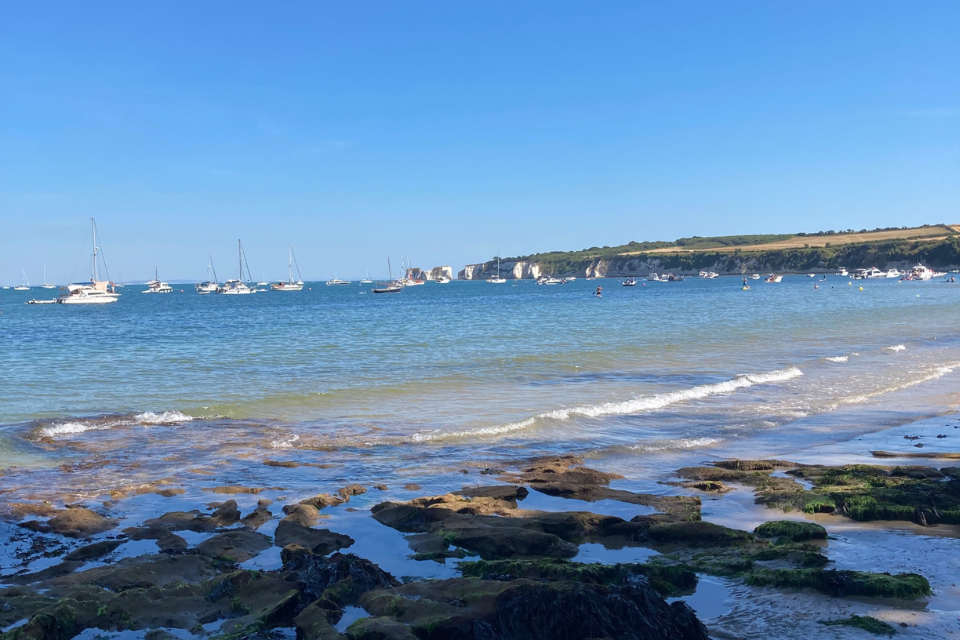 Studland Bay Voluntary No Anchor Zone   2022 Review