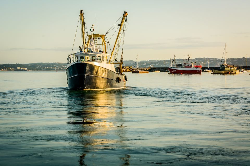 UK reaches agreement on key fish stocks for 2023