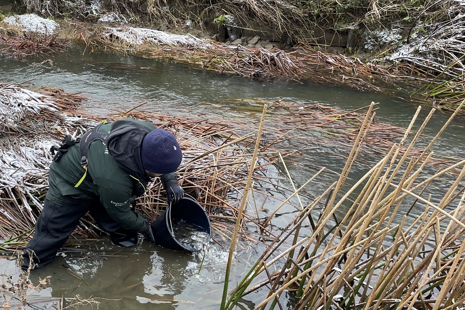 Christmas stockings boost fish populations in Leicestershire