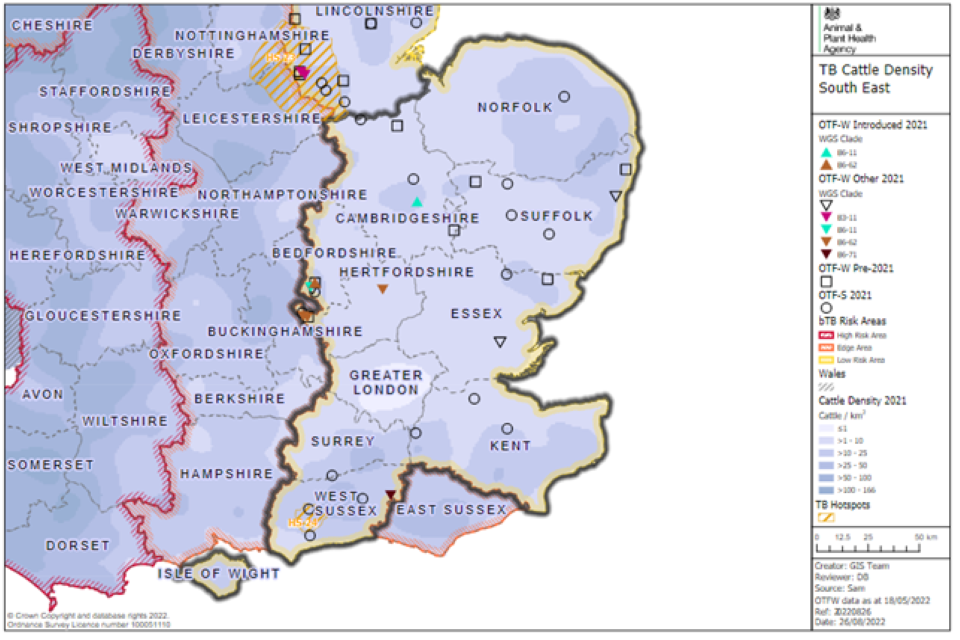 TB incidents are scattered throughout the South East. Spatial clustering is only evident in two areas in the west of Bedfordshire and the west of Hertfordshire, along the border with Buckinghamshire. Both clusters involve clade B6-62.