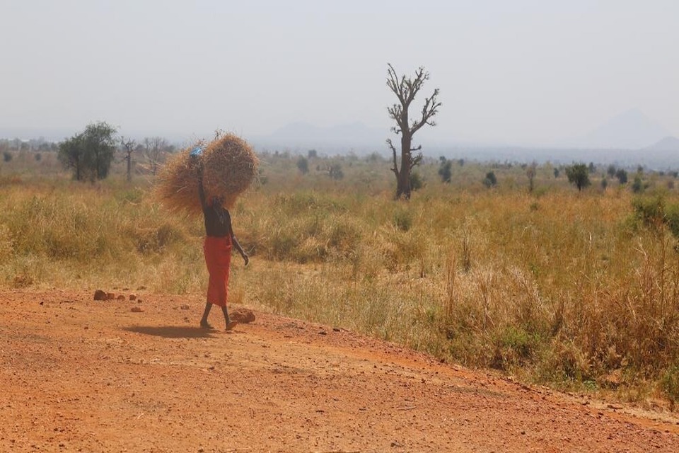 Woman walking into field carrying wheat